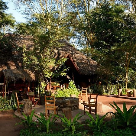 Migunga Tented Camp Mto wa Mbu Exteriér fotografie