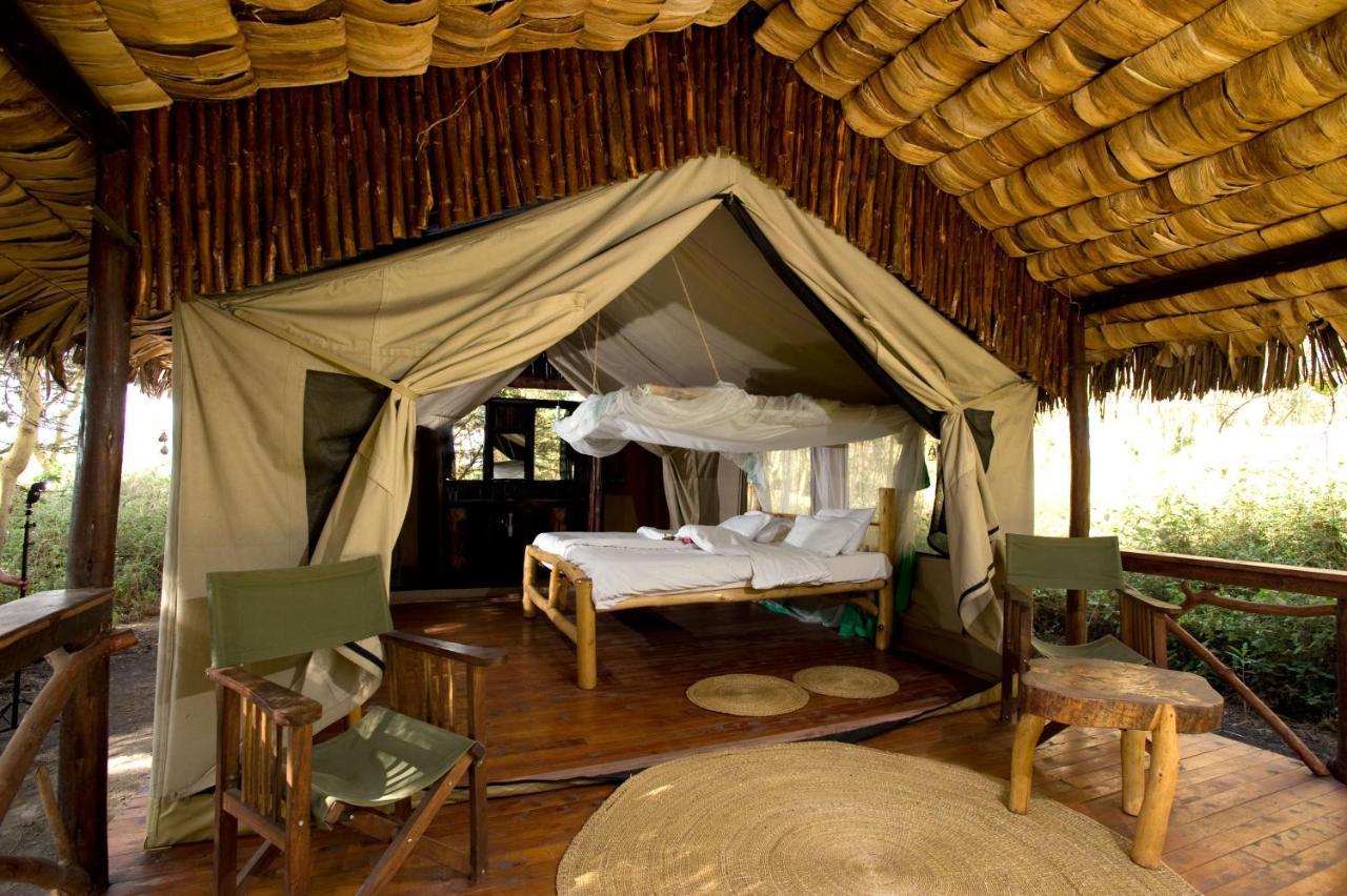 Migunga Tented Camp Mto wa Mbu Exteriér fotografie