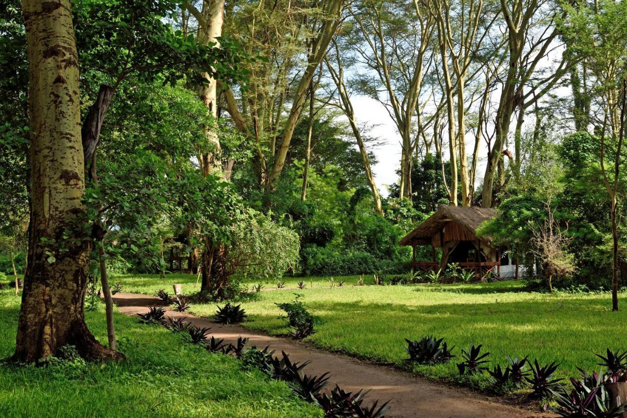 Migunga Tented Camp Mto wa Mbu Exteriér fotografie