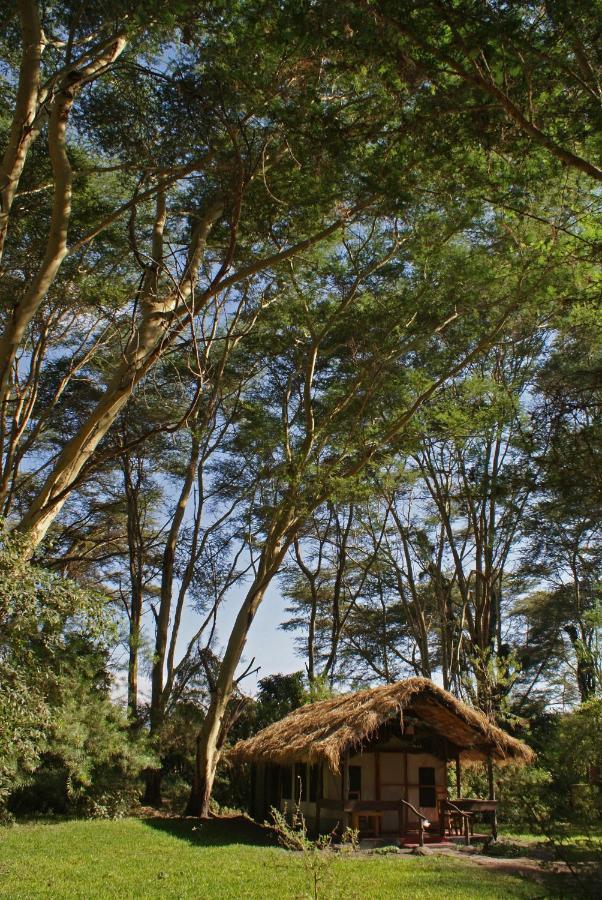 Migunga Tented Camp Mto wa Mbu Exteriér fotografie