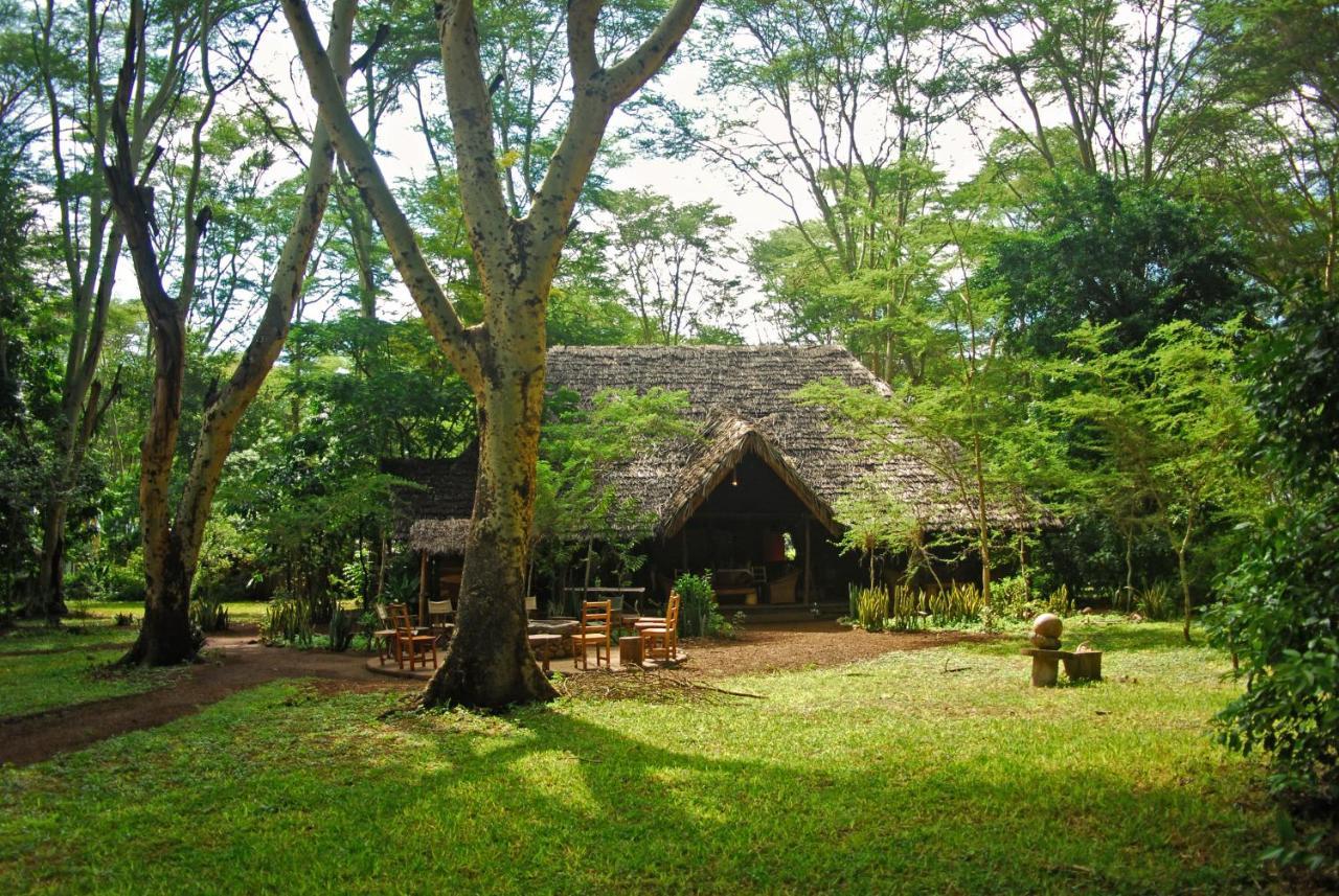 Migunga Tented Camp Mto wa Mbu Exteriér fotografie