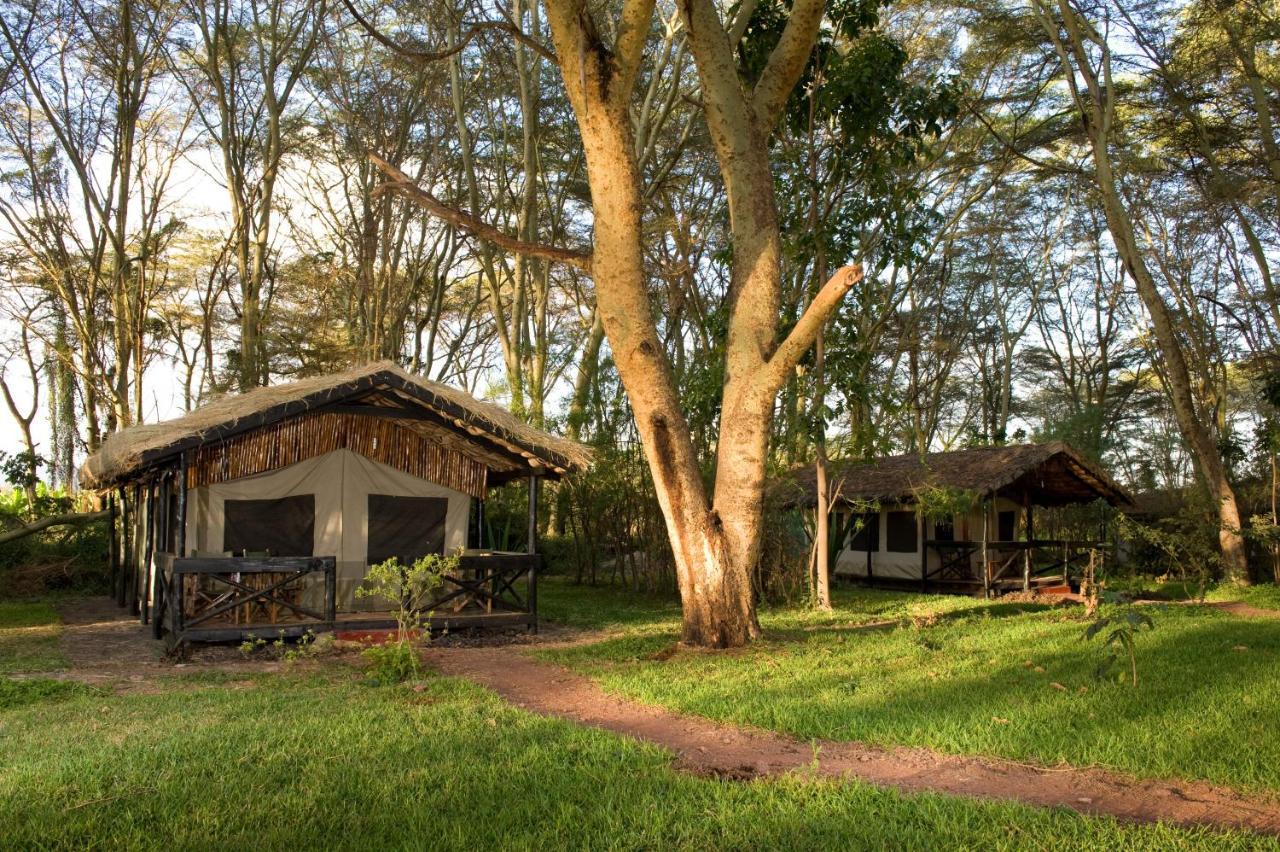 Migunga Tented Camp Mto wa Mbu Exteriér fotografie