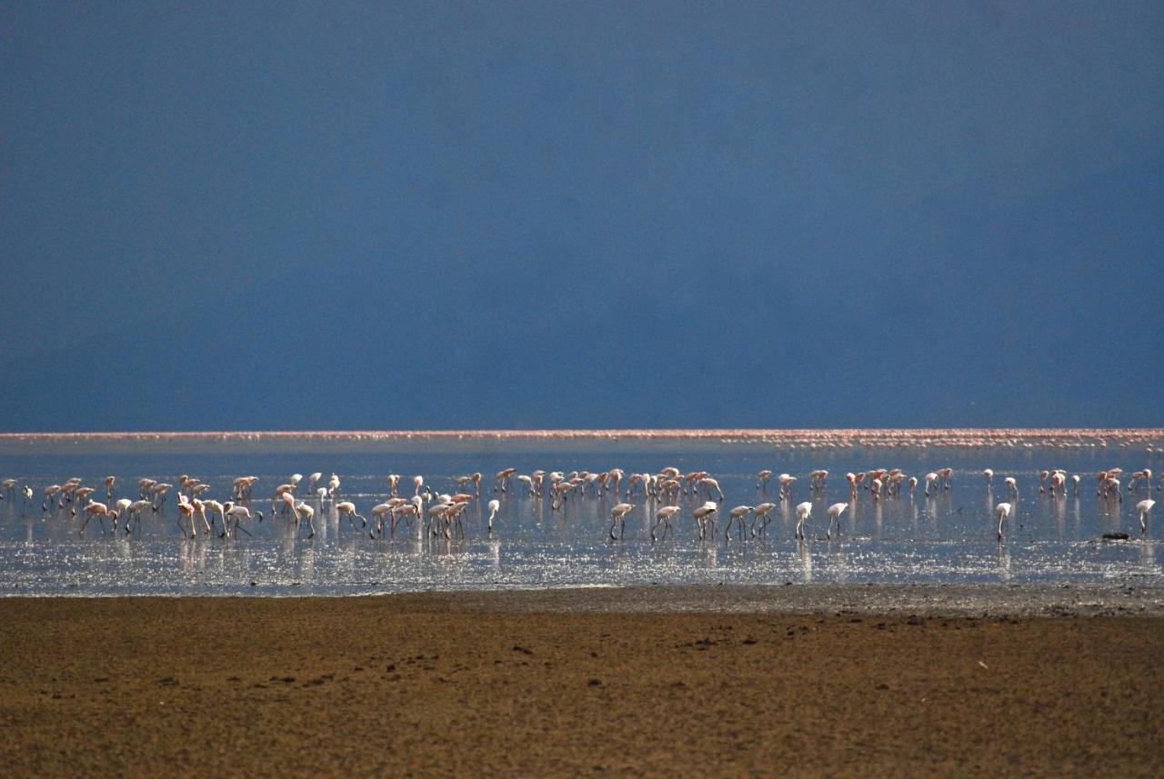 Migunga Tented Camp Mto wa Mbu Exteriér fotografie